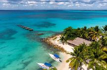 Saona Island Small-Group Tour with Natural Pool, Lunch & Drinks