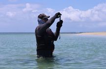 Rio grande & Luquillo Jet Ski Tour