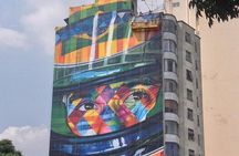 Ayrton Senna São Paulo Tour Story of Brazils Formula 1 Hero