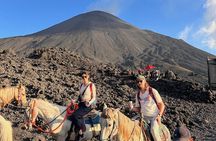 Epic Pacaya Volcano Horseback Sunset Tour w/ Pizza & Marshmallows