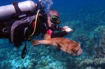 Private VIP Discover Scuba Diving in Curaçao