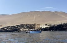 2-Day Tour in Paracas and Visit Huacachina