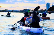 San Juan Glow Night Kayak Adventure Experience in Condado Lagoon