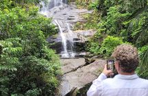 Tijuca Forest Pico Tijuca Trail with waterfall