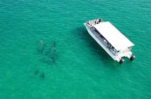 Panama City Beach Dolphin Cruise