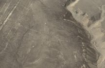 2 Days Nazca Flight, Paracas and Huacachina