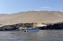2 Days Nazca Flight, Paracas and Huacachina