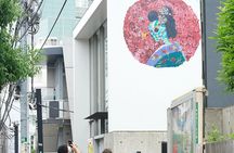 Tokyo Street Art and Graffiti Walking Tour