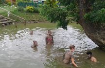 Thermal Mud pool & Garden Tour