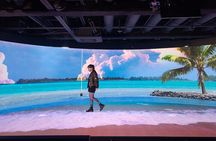 K-POP Fan Tour in Seoul: Inside Agency & Iconic Landmarks