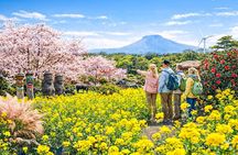 Jeju island Southern UNESCO Day Tour With Hallasan MT
