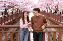 Seoul to Jinhae Cherry Blossom Festival (With Busan Drop-off)