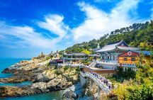Busan Highlights Premium Small Group Tour(Max 6 Guests)
