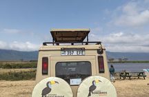 2 Days Private Safari in Ngorongoro Crater and Tarangire Park