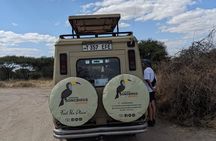 2 Days Private Safari in Ngorongoro Crater and Tarangire Park