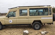 2 Days Private Safari in Ngorongoro Crater and Tarangire Park