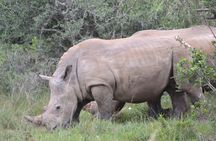 Schotia Safari Nature Park Adventure Pass