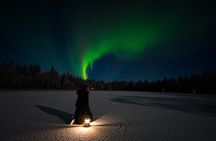 Ranua Lupland Aurora Activity Park – After Dark Adventure