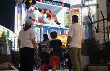 Tokyo Private Customized Walking tours with Local guide