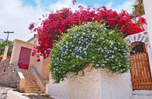 Hydra Island Full Day Trip From Nafplio with Swimming