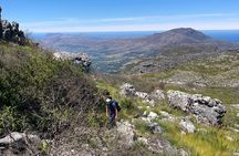 Table Mountain: Skeleton Gorge Guided Hike to Upper Station