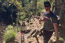 Table Mountain: Skeleton Gorge Guided Hike to Upper Station