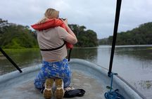 Panama Canal Boat Tour to Monkey Islands