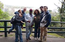 iguazu Falls HalfDaytour Brazilian Side(Private Solo/Group Solo)