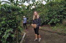 Full tour (Coffee tour, river, mountain, etc. )