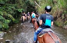 Full tour (Coffee tour, river, mountain, etc. )