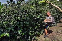 Full tour (Coffee tour, river, mountain, etc. )