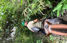 Full tour (Coffee tour, river, mountain, etc. )