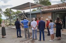 EVOO and wine tasting. Guided Tour of the Olive Tree in Mallorca