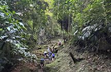 Lost City Trek 4 Days | Jungle Trek | Ciudad Perdida Teyuna