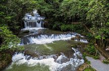 South Coast Tour Black River & YS Waterfalls 