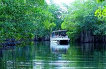 South Coast Tour Black River & YS Waterfalls 