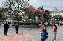 Private panoramic Quito - Teleferico tour from the heights
