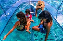Zakynthos turtle spotting & swimming Tour with fully clear boat