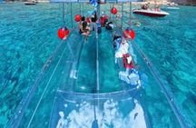 Zakynthos turtle spotting & swimming Tour with fully clear boat