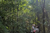 Private Monkey Sanctuary Trails with Zipline Canoe and Cenote