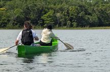 Private Monkey Sanctuary Trails with Zipline Canoe and Cenote
