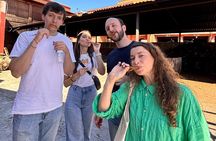 One day trip : Mezcal, Tlayudas & Textil