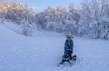 Tromsø Sledding and Campfire Winter Experience