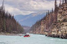 Athabasca Canyon Run Family Rafting: Class II Plus Rapids