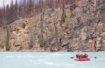 Jasper Athabasca Falls: Class 2+ Family Whitewater Rafting