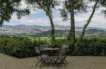 Luxury Sedan and SUV Wine Tour in Napa and Sonoma Valley