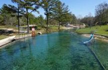 Vortex Springs Day Adventure – Swimming, Games & Outdoor Fun