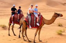 Dubai Evening Desert Safari, Quad Bike, Camel Ride & BBQ Dinner