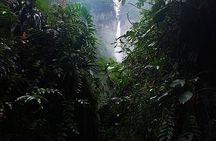 Jurassic Canyon Guided Hike in Baja del Toro