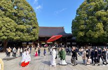 Tokyo Private Custom Tour by Car with Local Guide